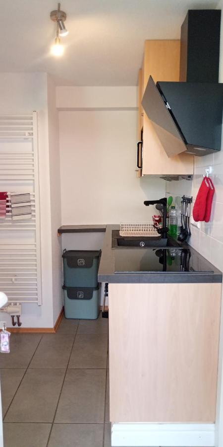 In Appartement Grenzach-Wyhlen