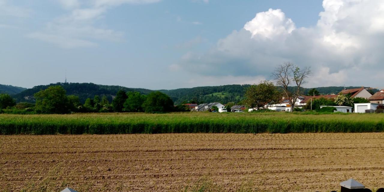 In Appartement Grenzach-Wyhlen